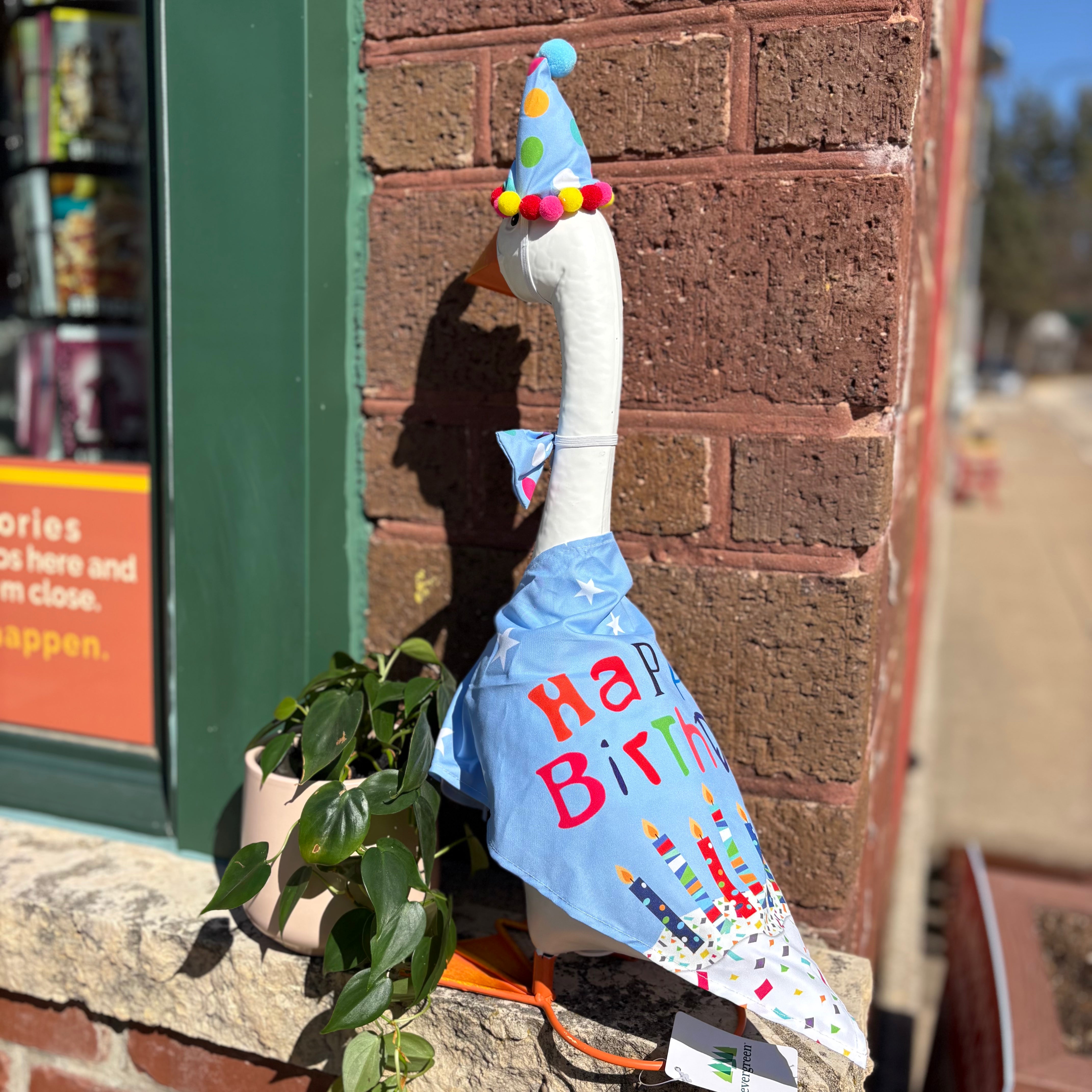Porch goose in a birthday boy outfit