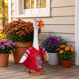 Porch goose in a University of Wisconsin-Madison sports uniform