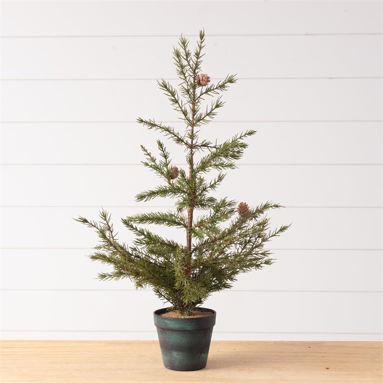 Potted Christmas Fir Pine Tree, Sm - Pages & Parcels