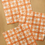 Pumpkin Check Dishcloth Set - Pages & Parcels