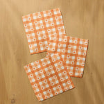 Pumpkin Check Dishcloth Set - Pages & Parcels