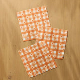 Pumpkin Check Dishcloth Set - Pages & Parcels