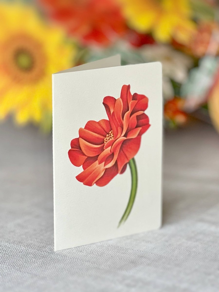 Pumpkin Harvest (8 Pop - up Greeting Cards) - Pages & Parcels