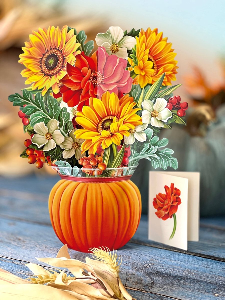 Pumpkin Harvest (8 Pop - up Greeting Cards) - Pages & Parcels