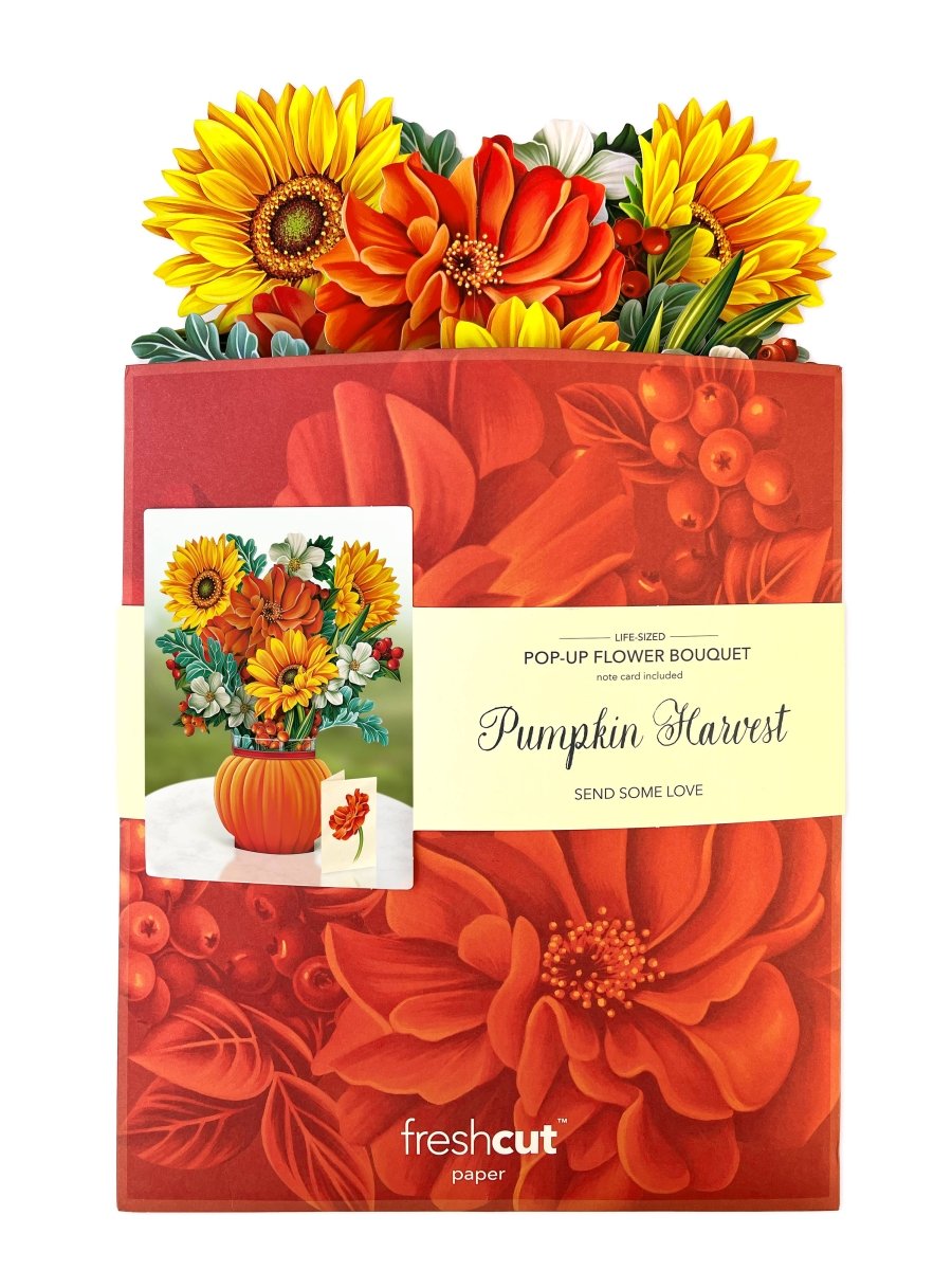 Pumpkin Harvest (8 Pop - up Greeting Cards) - Pages & Parcels