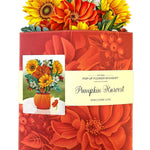 Pumpkin Harvest (8 Pop - up Greeting Cards) - Pages & Parcels