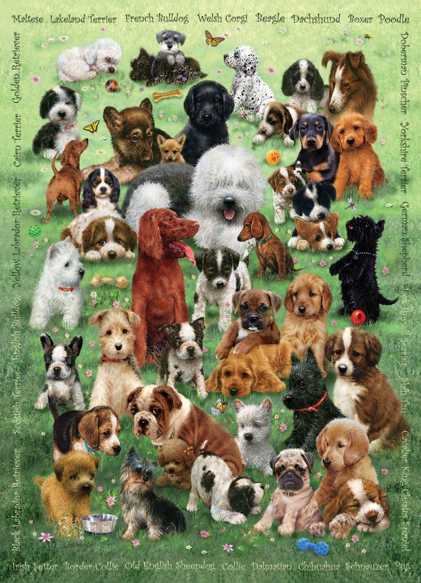 Collage of various dogs on a green background