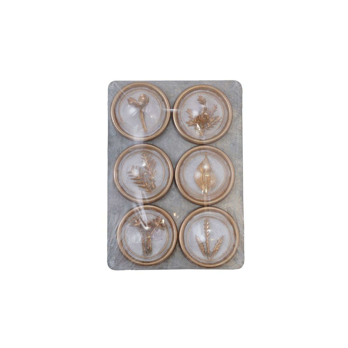 Resin Convex Magnets on Metal Card with Botanicals, Set of 6