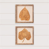 (Set of Two) Wall Hanging - Golden Leaf - Pages & Parcels