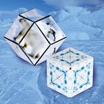 Shashibo Wild Series - Pages & Parcels