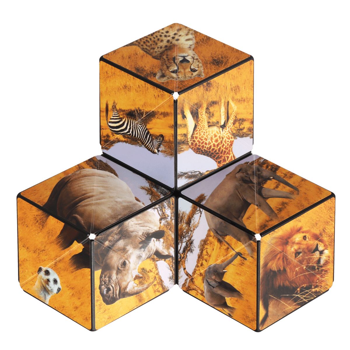 Shashibo Wild Series - Pages & Parcels