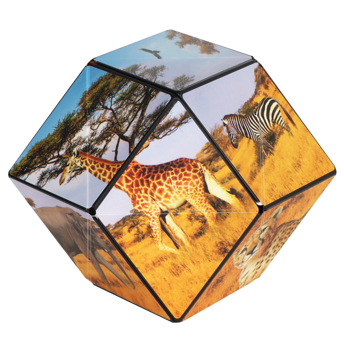 Shashibo Wild Series - Pages & Parcels