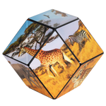 Shashibo Wild Series - Pages & Parcels