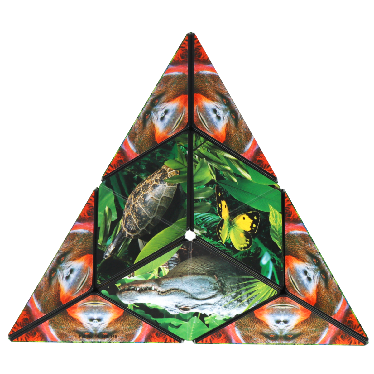 Shashibo Wild Series - Pages & Parcels