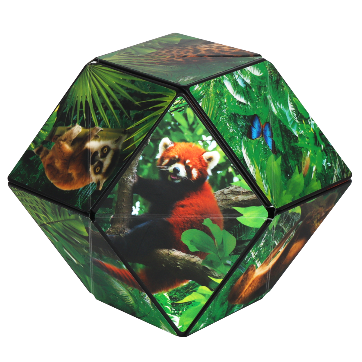 Shashibo Wild Series - Pages & Parcels
