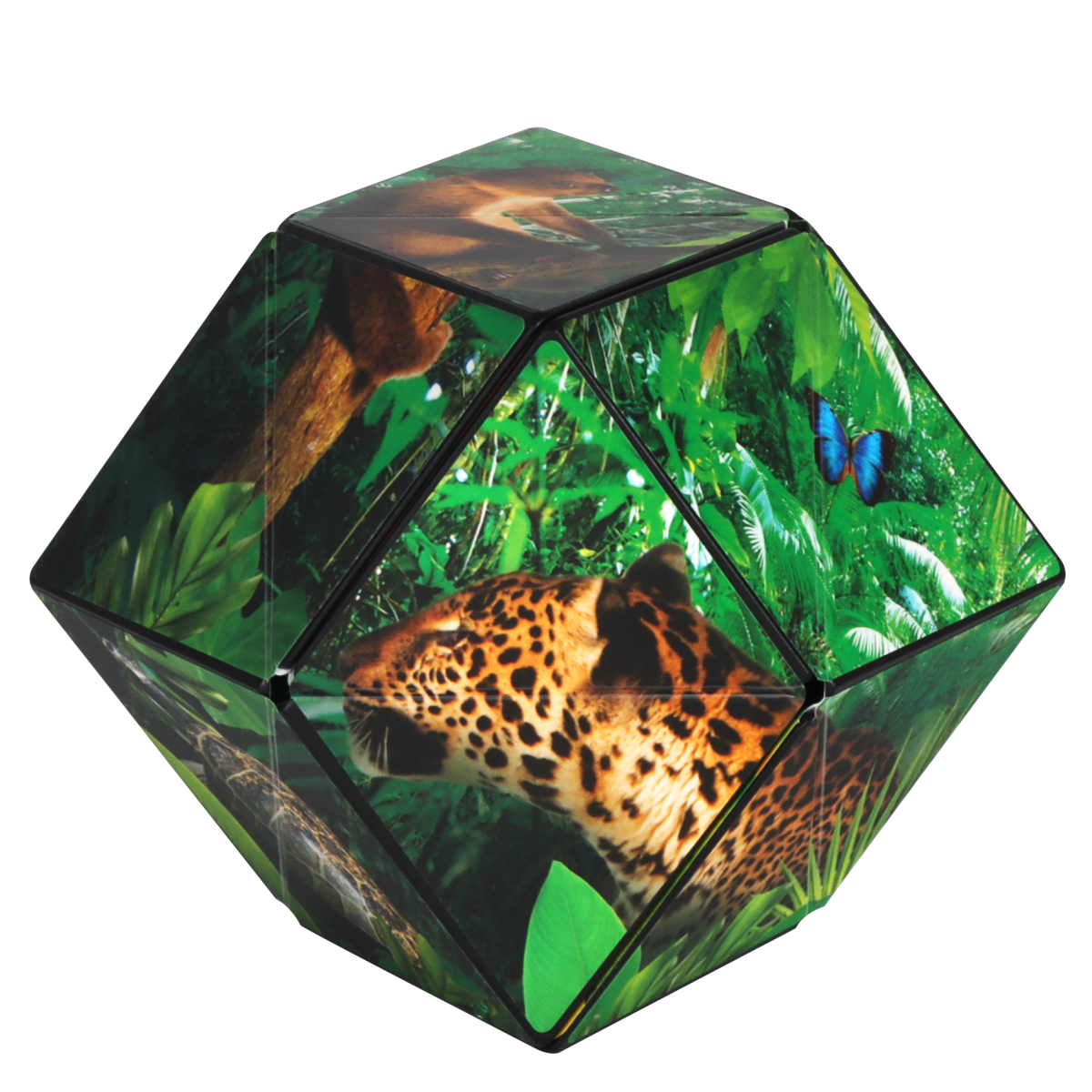 Shashibo Wild Series - Pages & Parcels