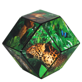 Shashibo Wild Series - Pages & Parcels