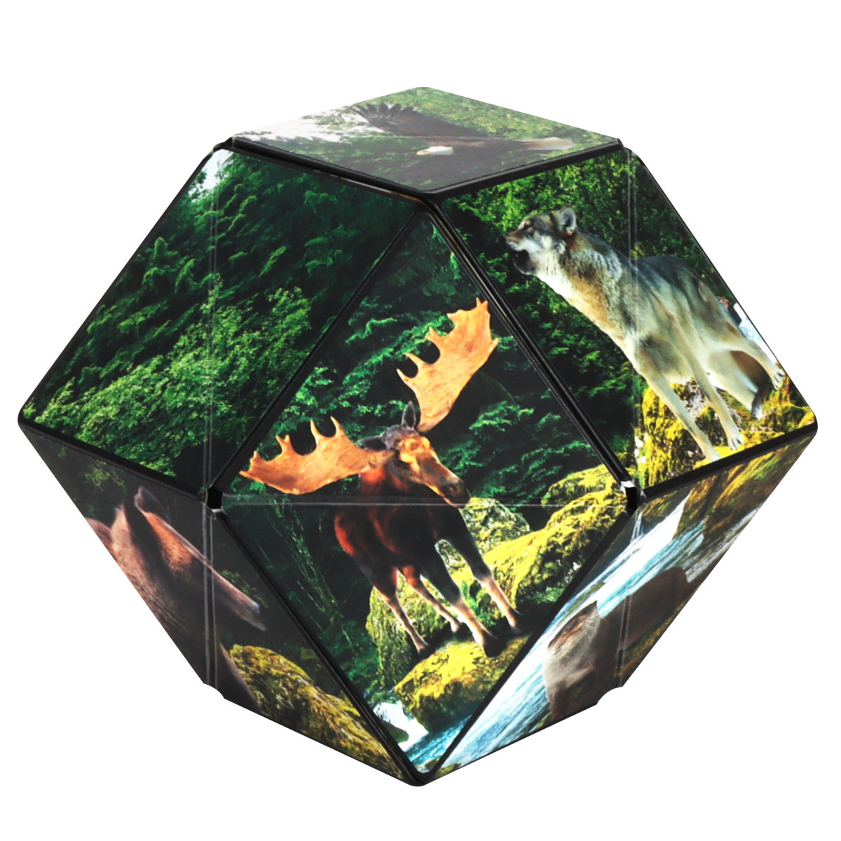 Shashibo Wild Series - Pages & Parcels