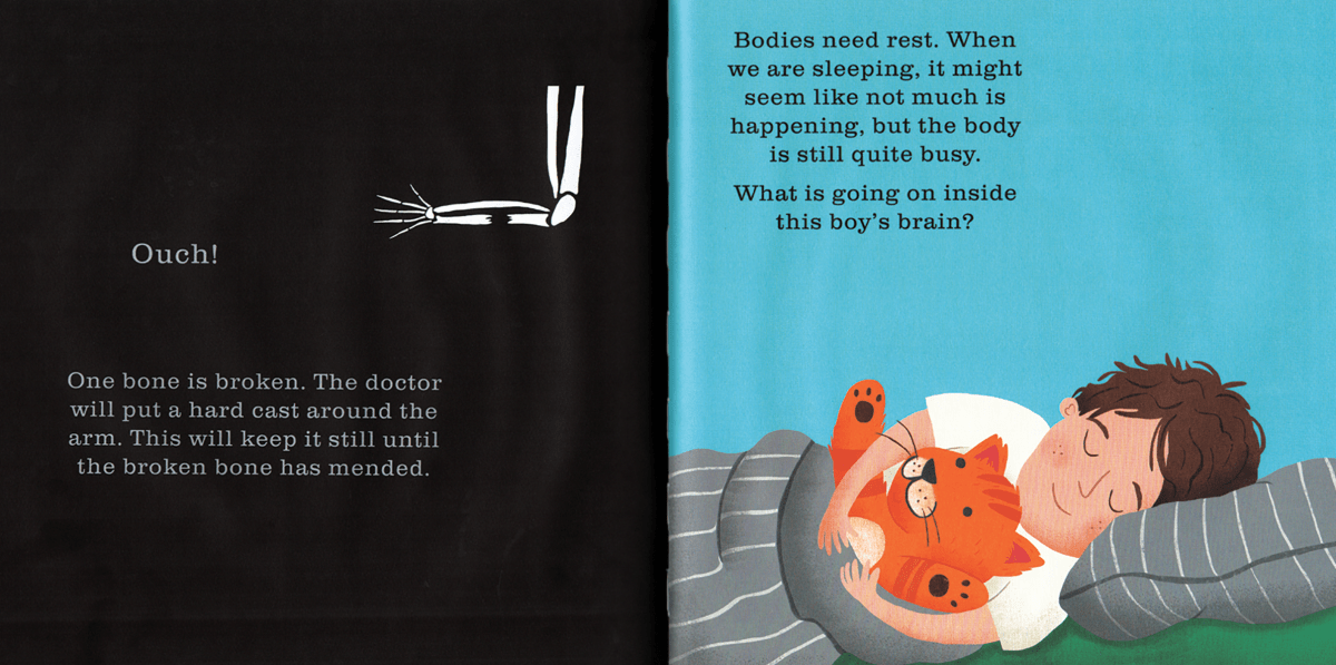 Shine - A - Light: The Human Body - Pages & Parcels