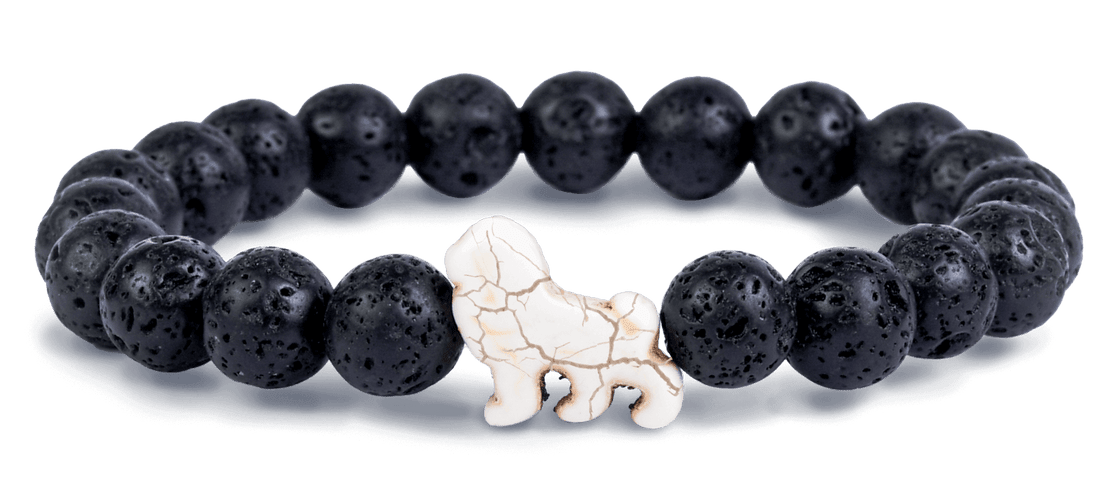 The Excursion Bracelet | Lion | Fahlo - Pages & Parcels