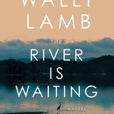 The River Is Waiting: A Novel cover image