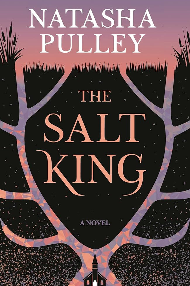 The Salt King: A Novel cover image