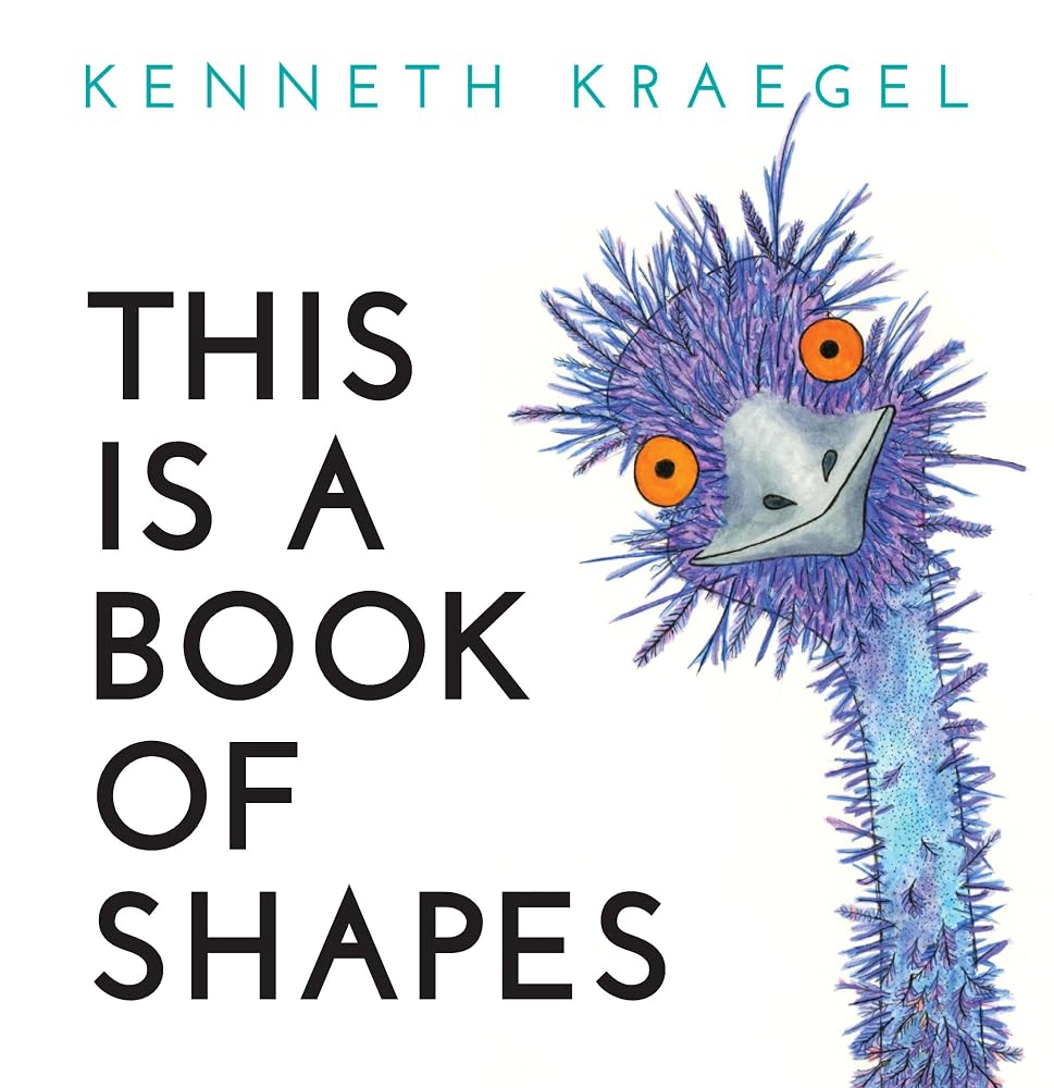 This Is a Book of Shapes cover image