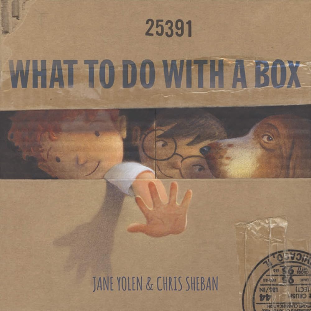 What To Do With a Box cover image