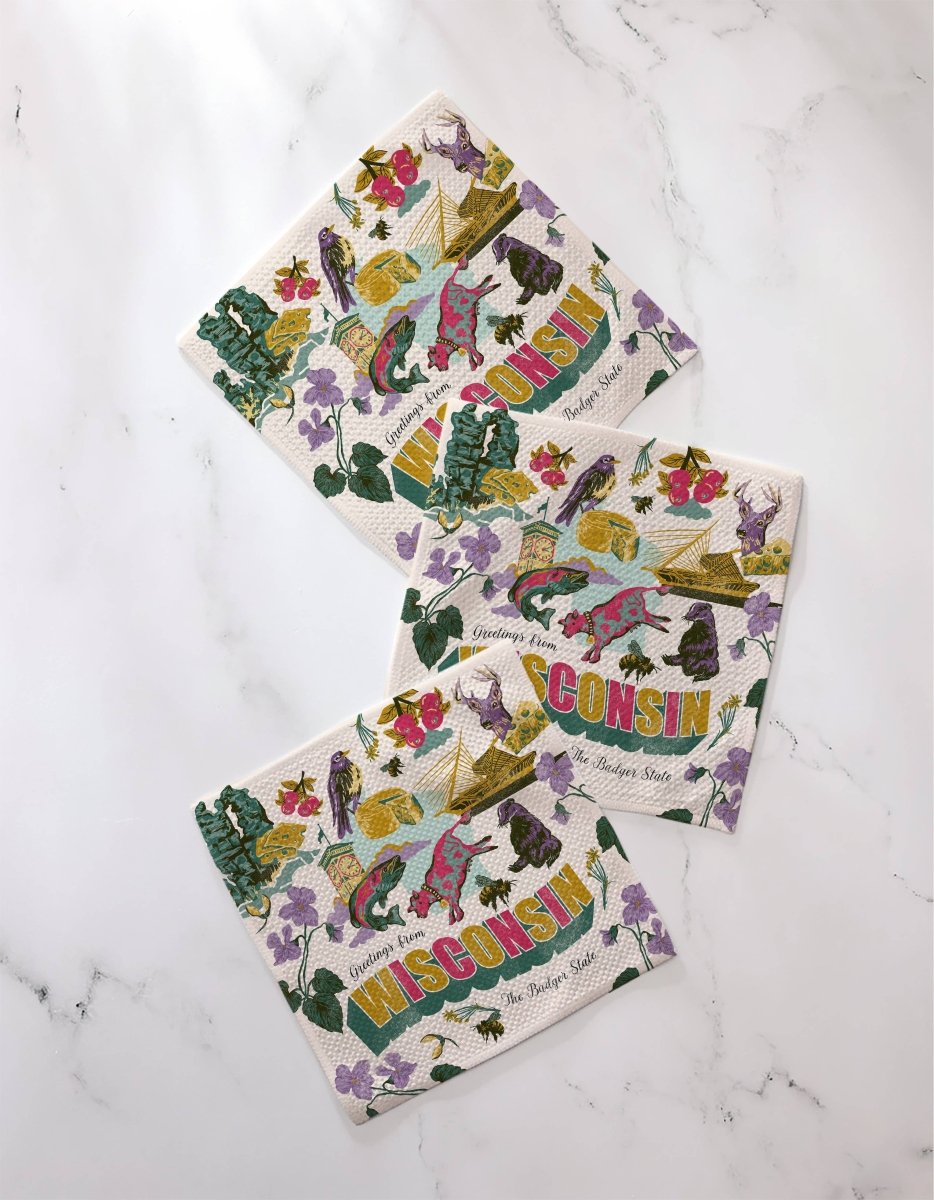 Wisconsin Dishcloth Set, 3 Pack | Geometry - Pages & Parcels