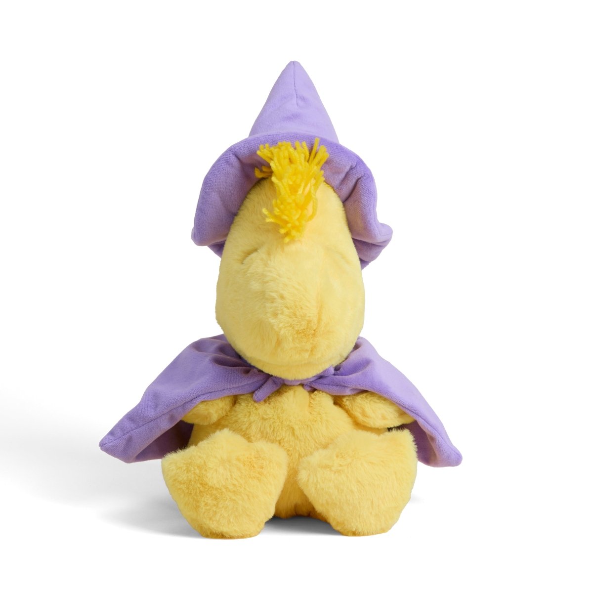 Wizard Woodstock | Warmies® - Pages & Parcels
