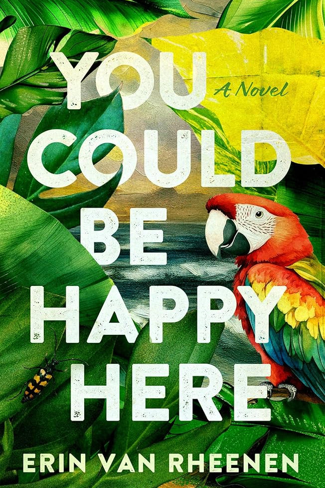 You Could Be Happy Here cover image